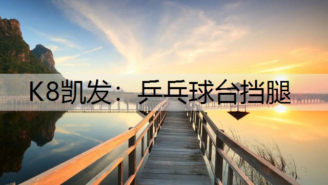 K8凯发：乒乓球台挡腿