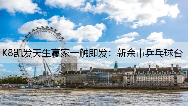 K8凯发天生赢家一触即发：新余市乒乓球台