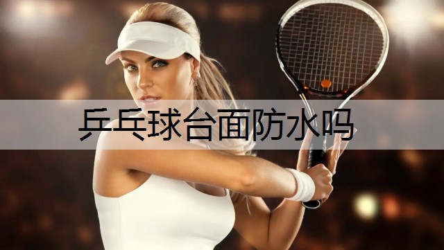 乒乓球台面防水吗