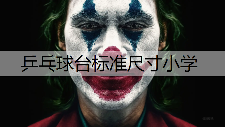 乒乓球台标准尺寸小学
