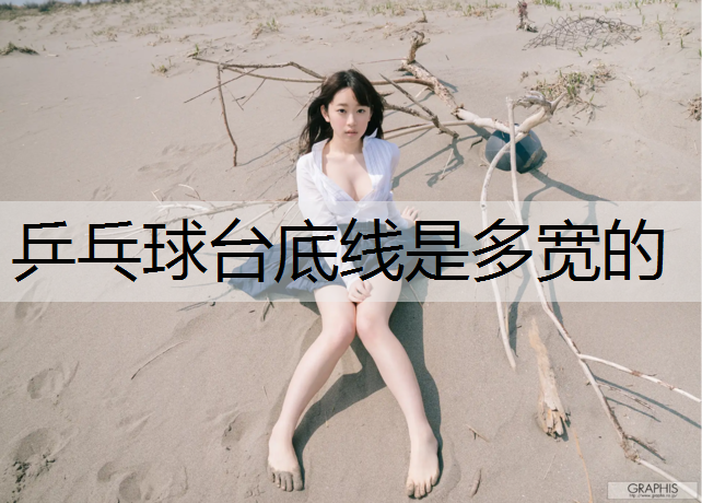 乒乓球台底线是多宽的