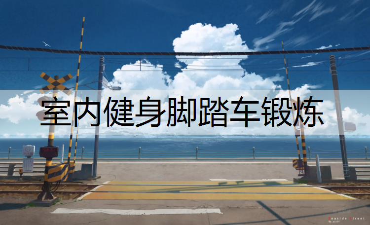室内健身脚踏车锻炼
