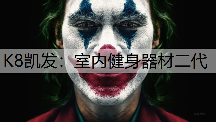 K8凯发：室内健身器材二代