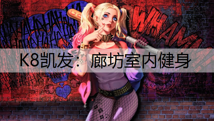 K8凯发：廊坊室内健身