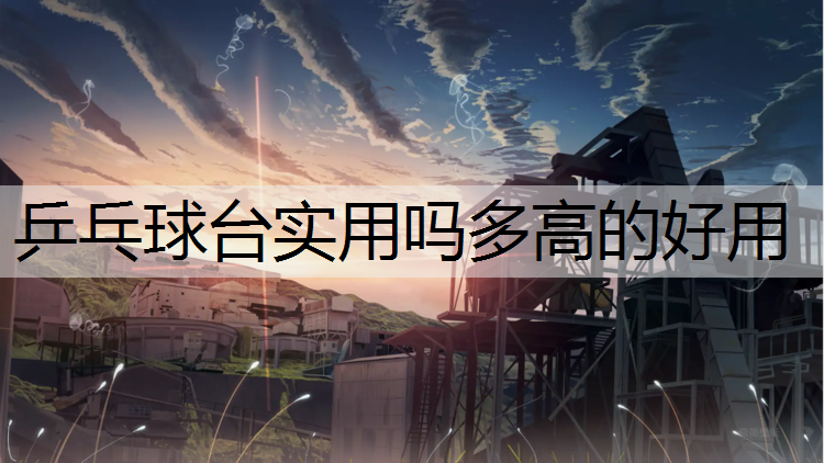 乒乓球台实用吗多高的好用