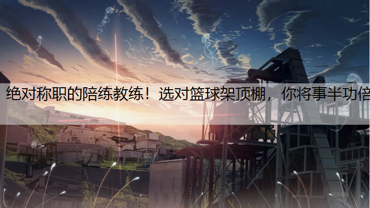 绝对称职的陪练教练！选对篮球架顶棚，你将事半功倍