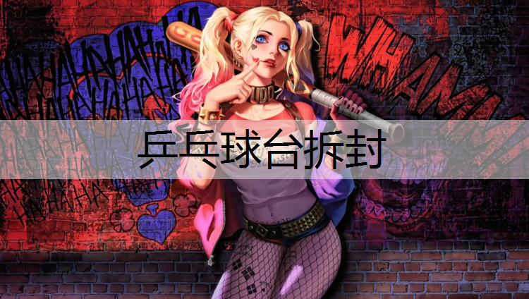 乒乓球台拆封