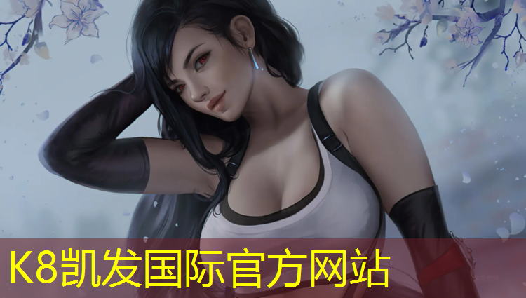K8凯发：青海网球网架