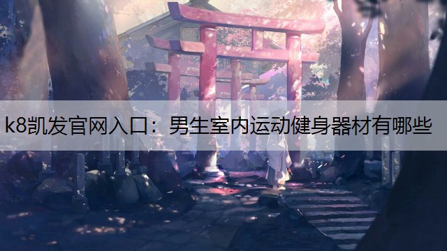 男生室内运动健身器材有哪些
