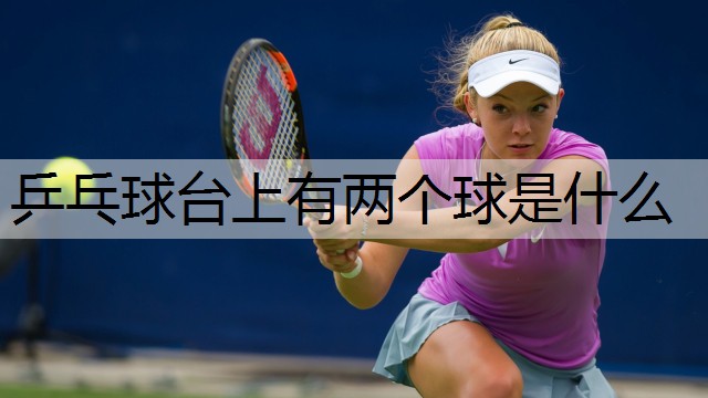 乒乓球台上有两个球是什么