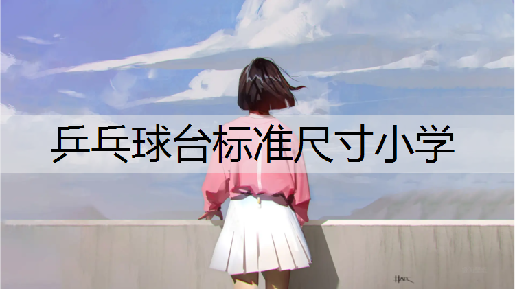 乒乓球台标准尺寸小学