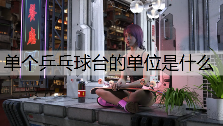 单个乒乓球台的单位是什么