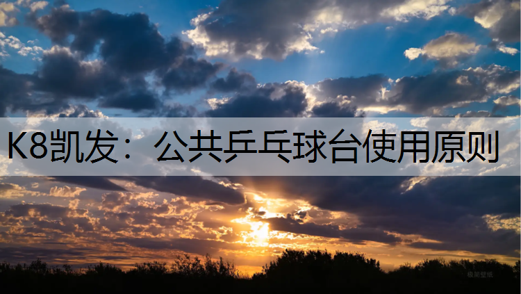 公共乒乓球台使用原则