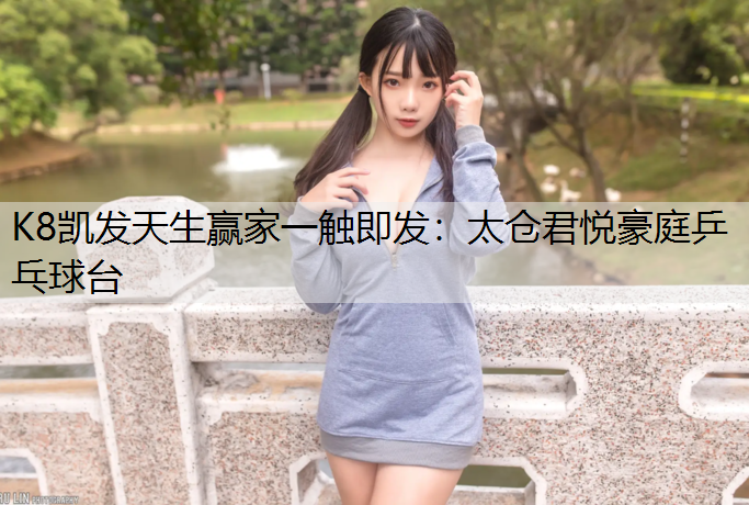 太仓君悦豪庭乒乓球台