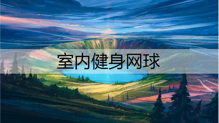 室内健身网球