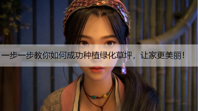 一步一步教你如何成功种植绿化草坪，让家更美丽！