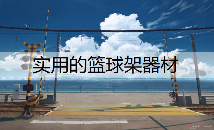 实用的篮球架器材