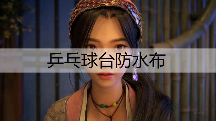 乒乓球台防水布 乒乓球台防水布