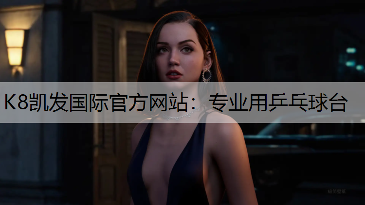 专业用乒乓球台