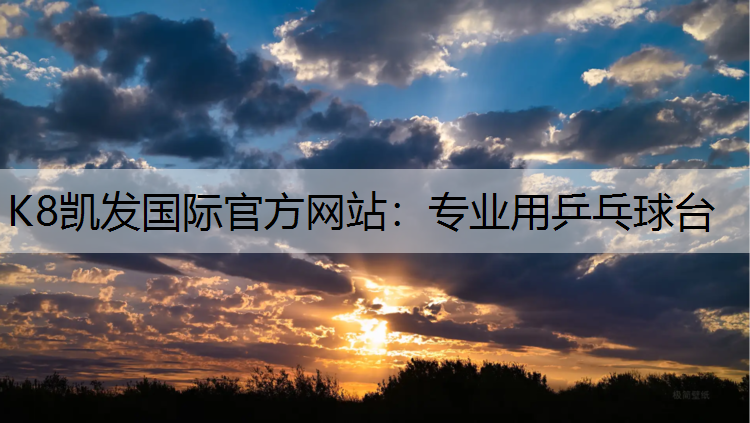 专业用乒乓球台