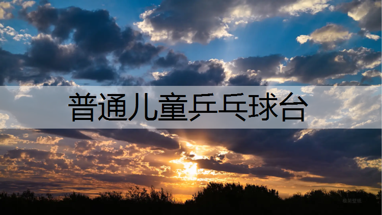 普通儿童乒乓球台